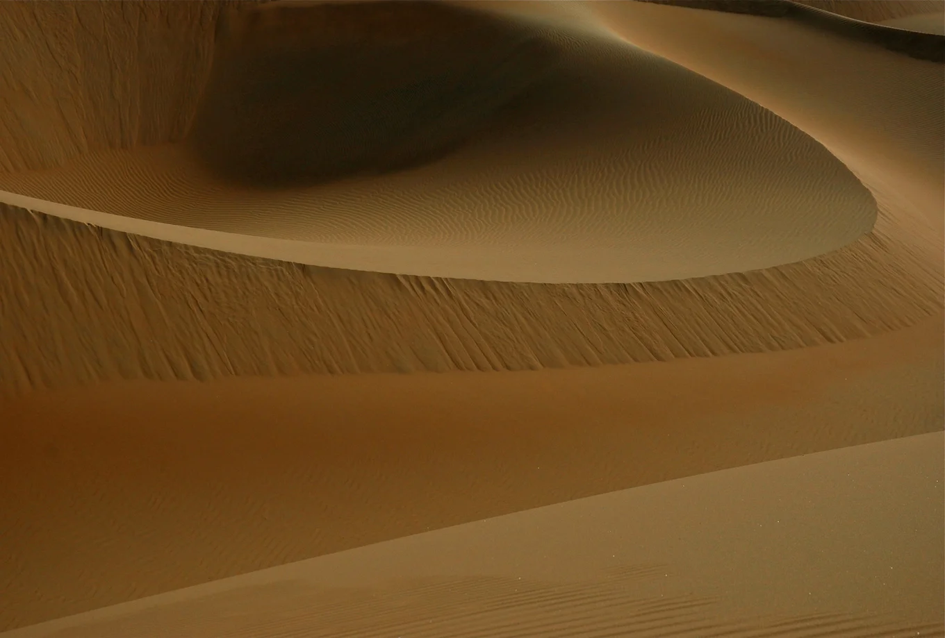 Sand dunes with smooth, curved ridges.